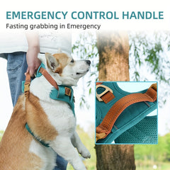 Heavy-Duty Adjustable No-Escape Dog Harness for Medium & Large Breeds – Comfortable, Padded & Durable