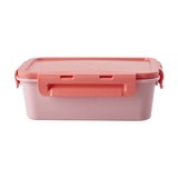 Large Square Lunchbox with 3 Inserts - Pink Print