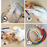 WhiskerPlay Chew Rope Toy Set | Durable Braided Rope Toys for Dogs — Teething & Interactive Play