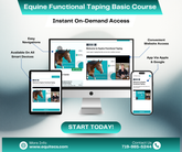 EFT Basic Course