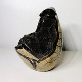 Large Black Septarian Dragon Stone Freeform with Dark Druzy Cavity – 10.7 lb Statement Specimen