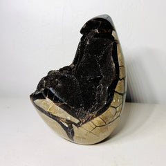 Large Black Septarian Dragon Stone Freeform with Dark Druzy Cavity – 10.7 lb Statement Specimen