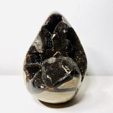 Large Black Septarian Dragon Stone Freeform with Dark Druzy Cavity – 10.7 lb Statement Specimen