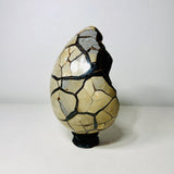 Large Black Septarian Dragon Egg with Dark Druzy Cavity – 10.2 lb Display Specimen with Dark Lotus Stand (Gift)