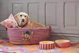 Round Pet Bowl - Pink - Flower Print