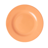Melamine Lunch Plate | Soft Apricot