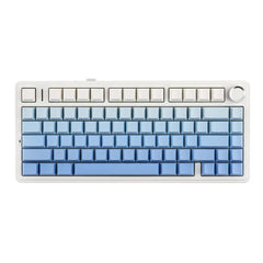 F75 Pro Gasket Mounted Wireless Gaming Mechanical Keyboard
