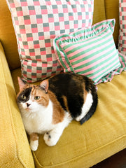 Flora Stripe Pillow