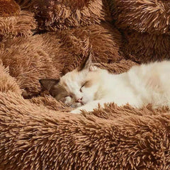 Big Paw Plush Pet Sofa Bed – Washable Dog & Cat Bed with Calming Raised Edges (Small to XL) - Marcapon