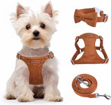No Pull Puppy Harness And Leash Set