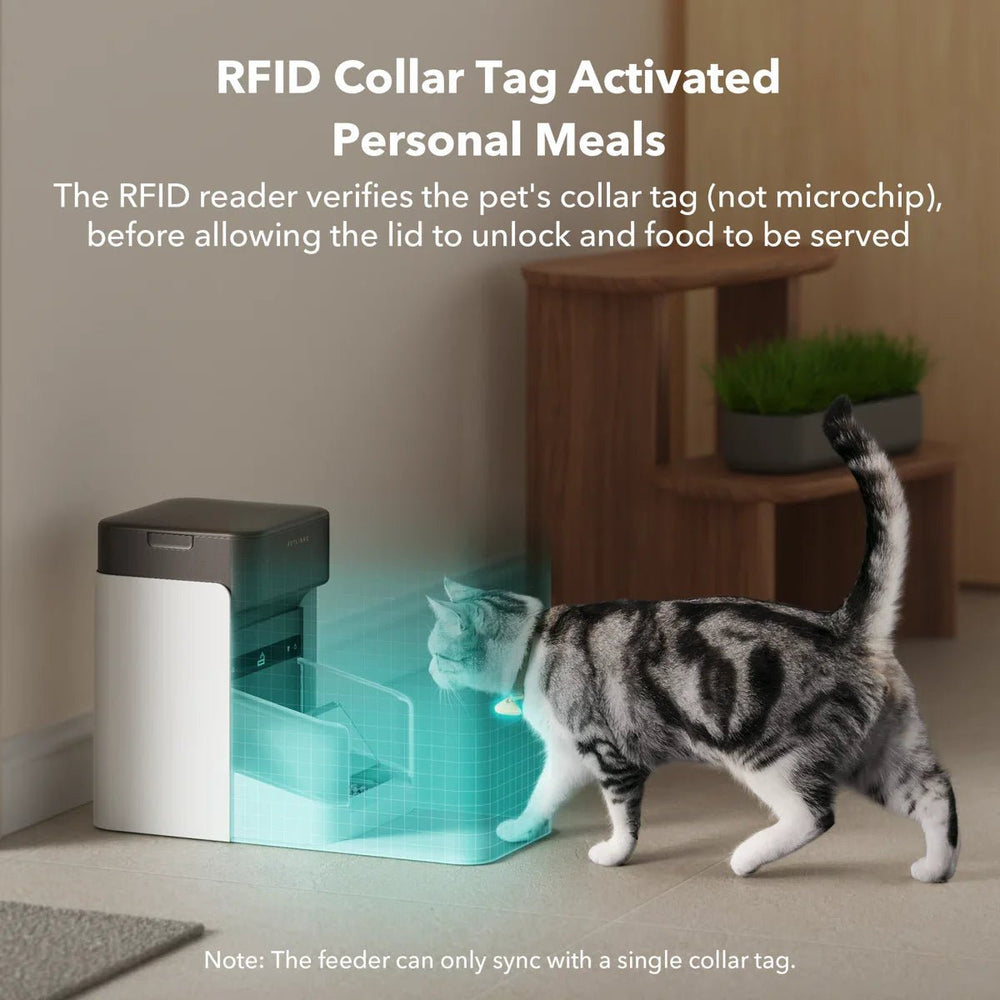 RFID Automatic Smart Feeder for Pets – App - Controlled Individual Feeding - Marcapon