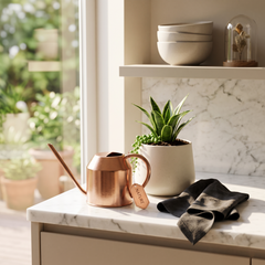Collection image for: Home & Garden