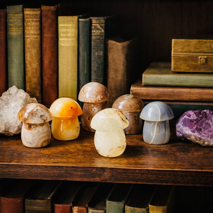 5 LB Agate Crystal Mushroom Carvings – Polished Mixed Lot (No Selection)