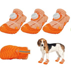 Orangw (4Pc) / 3(1.6