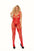 Fishnet And Lace Bodystocking With Open Crotch