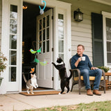 FlyChase Interactive Cat Toy | Automatic Feather Wand & Butterfly Teaser for Cats