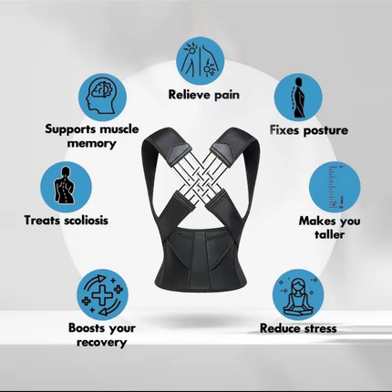 Spine Align Pro