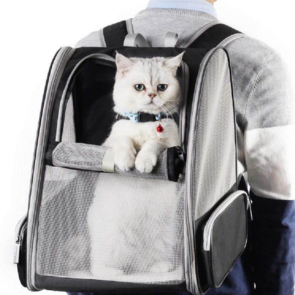 Texsens Innovative Traveler Bubble Backpack Pet Carriers for Cats and Dogs (Black)