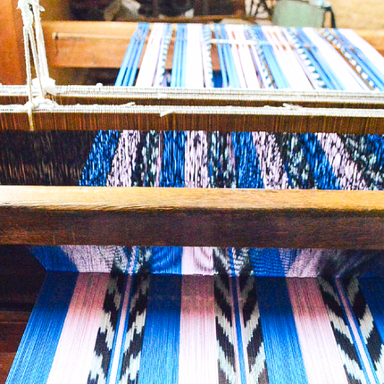Palm Ikat Blanket in Blue & Pink