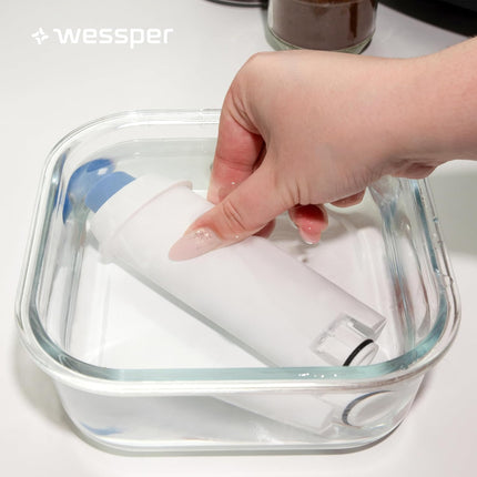 Wessper AquaLunga Coffee Filter x2 — Delonghi