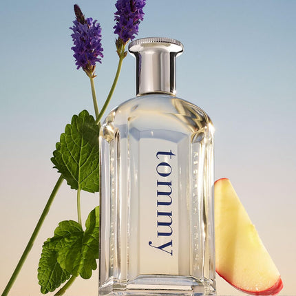 Tommy Hilfiger Tommy Eau de Toilette for Men — 100 ml