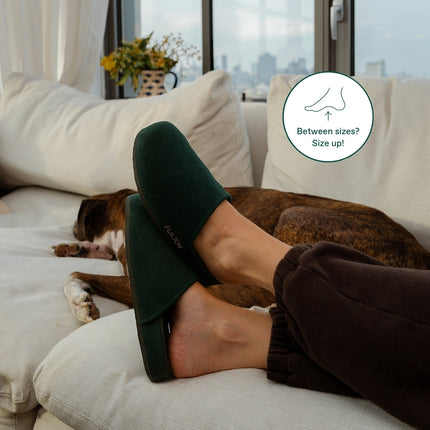The House Shoe | Premium Cork Arch Support