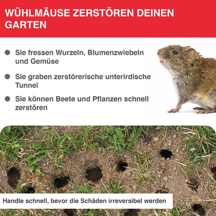 Swissinno Vole Trap PRO SuperCat — Snap Trap, Patented Trigger, Reusable