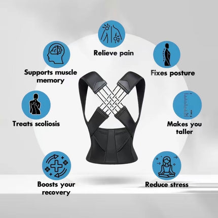 Spine Align Pro
