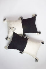 Antigua Pillow - Black &amp; Natural White Colorblocked