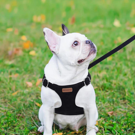No Pull Puppy Harness, Leash & Collar Set — Soft, Escape-Proof, Adjustable