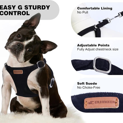 No Pull Puppy Harness, Leash & Collar Set — Soft, Escape-Proof, Adjustable