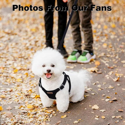 No Pull Puppy Harness, Leash & Collar Set — Soft, Escape-Proof, Adjustable
