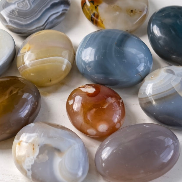 5 LB Agate Palm Stone Mixed Lot – Polished Assortment (No Selection)