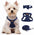 No Pull Puppy Harness and Leash Set – Soft, Escape-Proof, and Fully Adjustable!