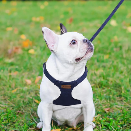No Pull Puppy Harness, Leash & Collar Set — Soft, Escape-Proof, Adjustable
