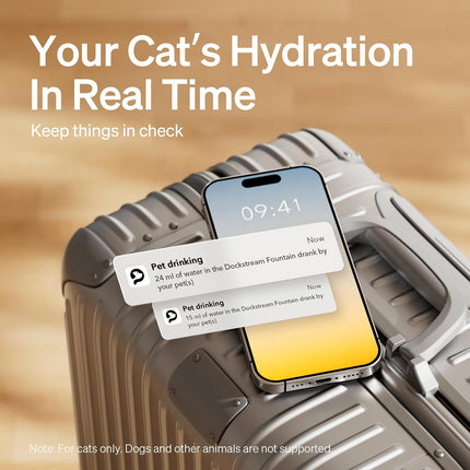 Dockstream Wireless Water Pump App Cat Fountain | Smart Stainless Steel Hydration System with App Tracking
