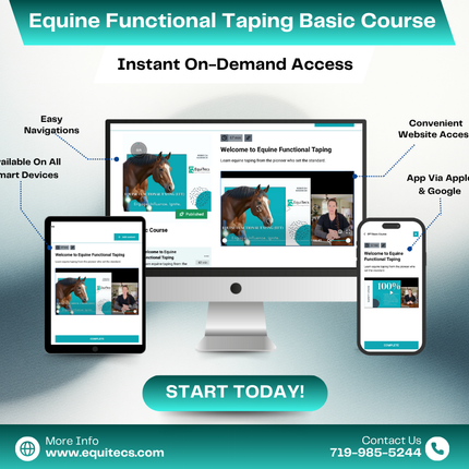 EFT Basic Course