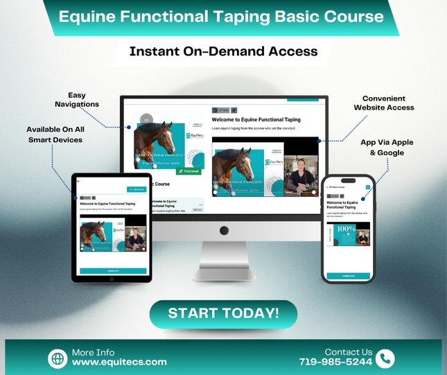 EFT Basic Course