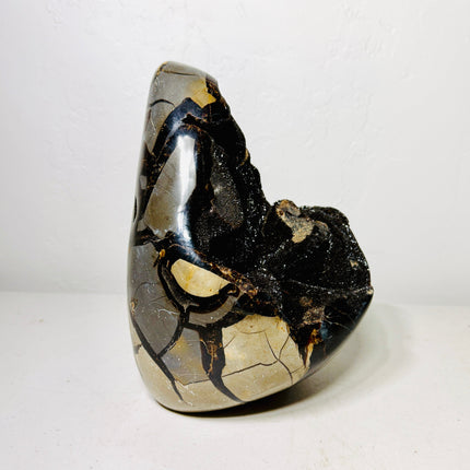 Large Black Septarian Dragon Stone Freeform with Dark Druzy Cavity – 10.7 lb Statement Specimen