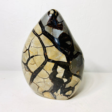 Large Black Septarian Dragon Stone Freeform with Dark Druzy Cavity – 10.7 lb Statement Specimen