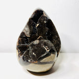 Large Black Septarian Dragon Stone Freeform with Dark Druzy Cavity – 10.7 lb Statement Specimen