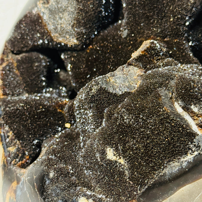 Large Black Septarian Dragon Stone Freeform with Dark Druzy Cavity – 10.7 lb Statement Specimen