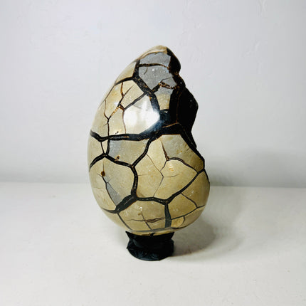 Large Black Septarian Dragon Egg with Dark Druzy Cavity – 10.2 lb Display Specimen with Dark Lotus Stand (Gift)