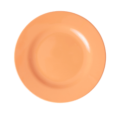Melamine Lunch Plate | Soft Apricot