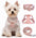 No Pull Puppy Harness and Leash Set – Soft, Escape-Proof, and Fully Adjustable!