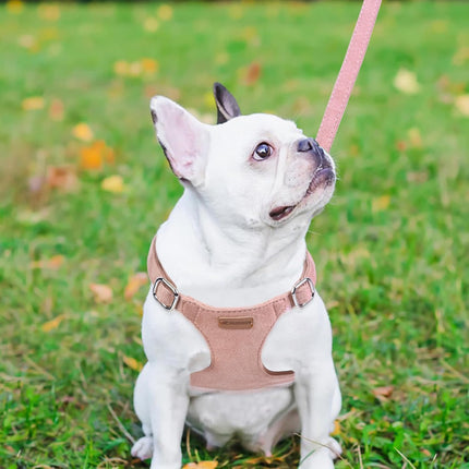 No Pull Puppy Harness, Leash & Collar Set — Soft, Escape-Proof, Adjustable