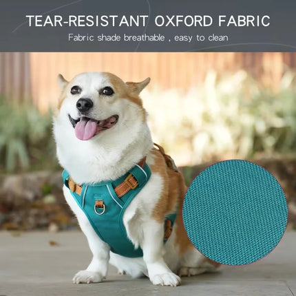 Heavy-Duty No-Escape Dog Harness — Padded & Adjustable for Medium & Large Breeds