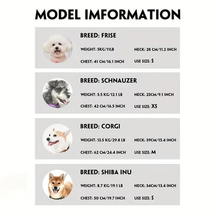 Heavy-Duty No-Escape Dog Harness — Padded & Adjustable for Medium & Large Breeds