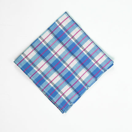 San Andres Gingham Blue & White Napkins