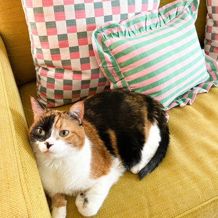 Archive NY Flora Stripe Ruffle Pillow